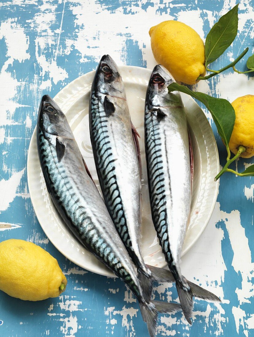 Fresh mackerel and lemon
