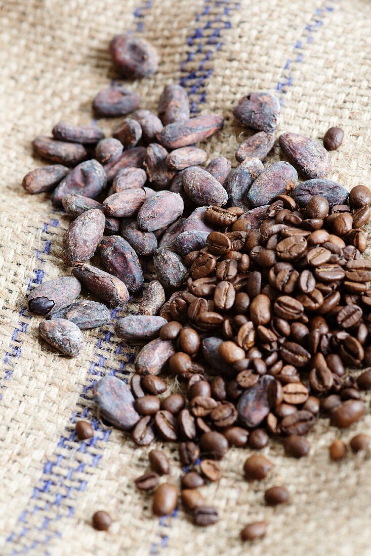 Kakaobohnen und Kaffeebohnen auf Jutesack