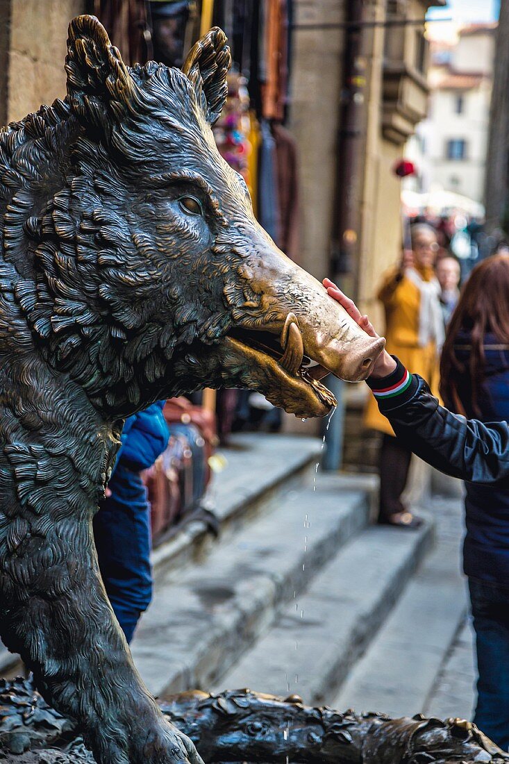 'Fontana del Porcellino', Florenz, Italien