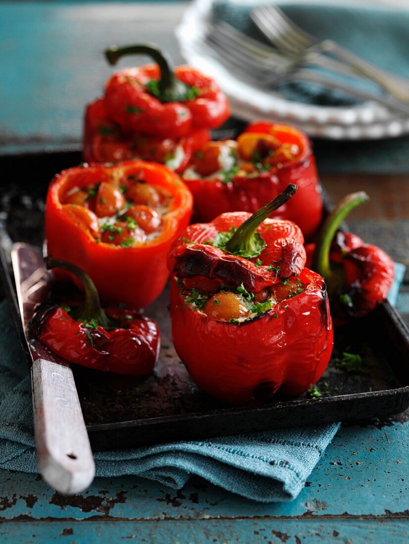 Gefüllte Paprika mit Kirschtomaten und Basilikum