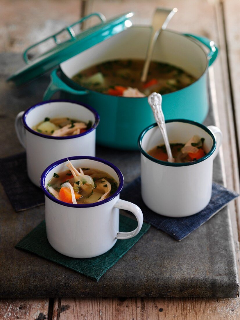 Spring soup with vegetables and chicken