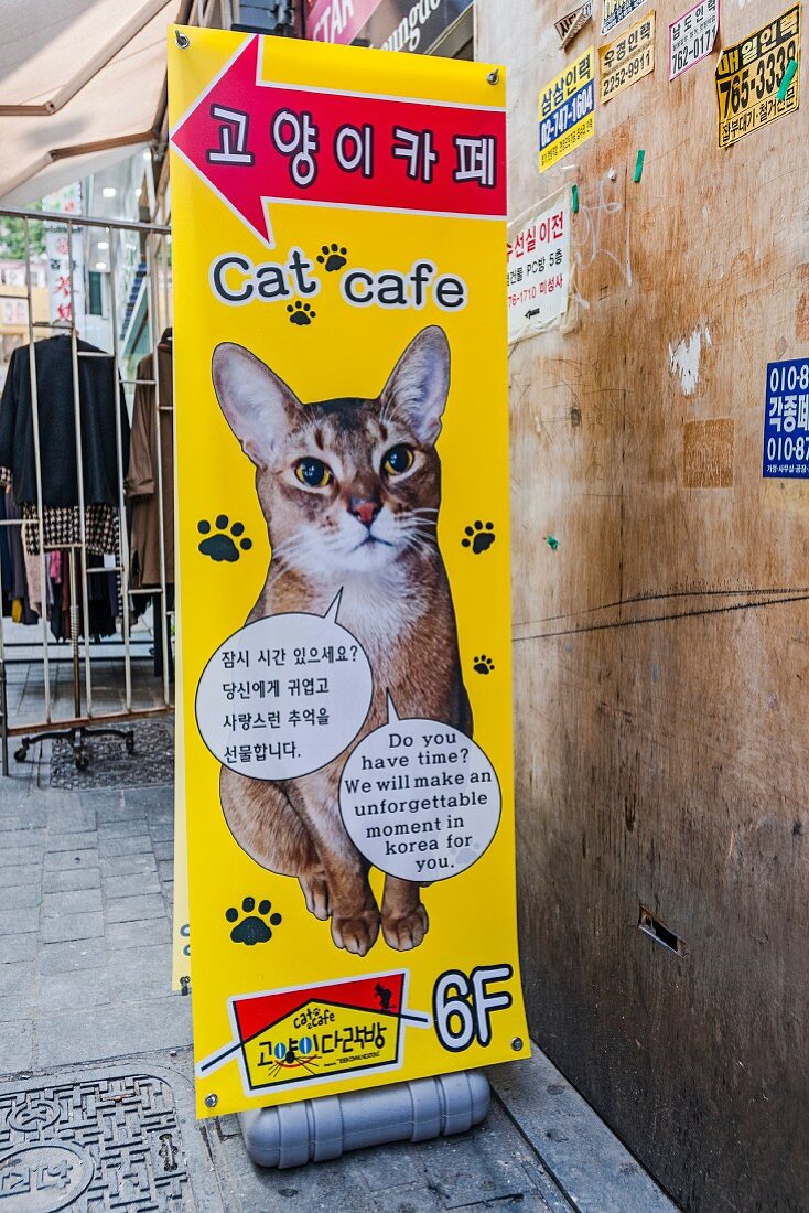 Werbung für 'Cat Café', Myeong-dong, Seoul, Südkorea