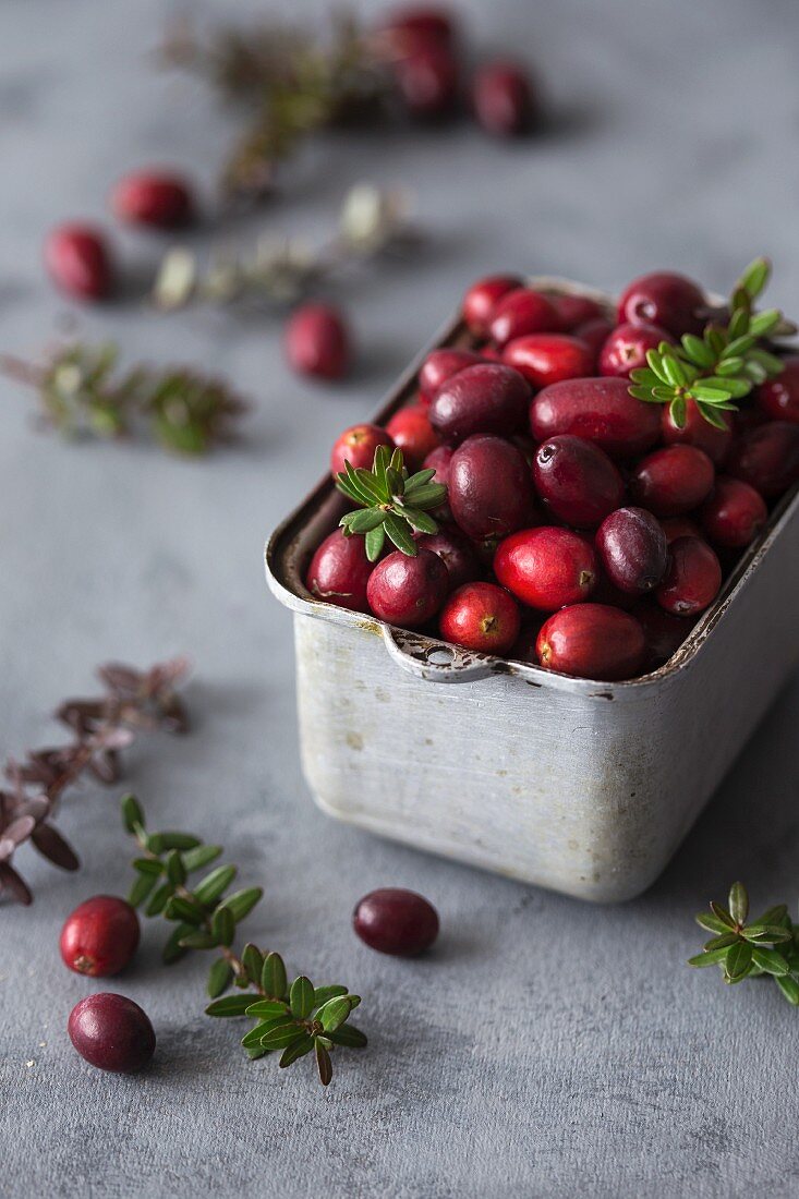 Cranberry in a metal container