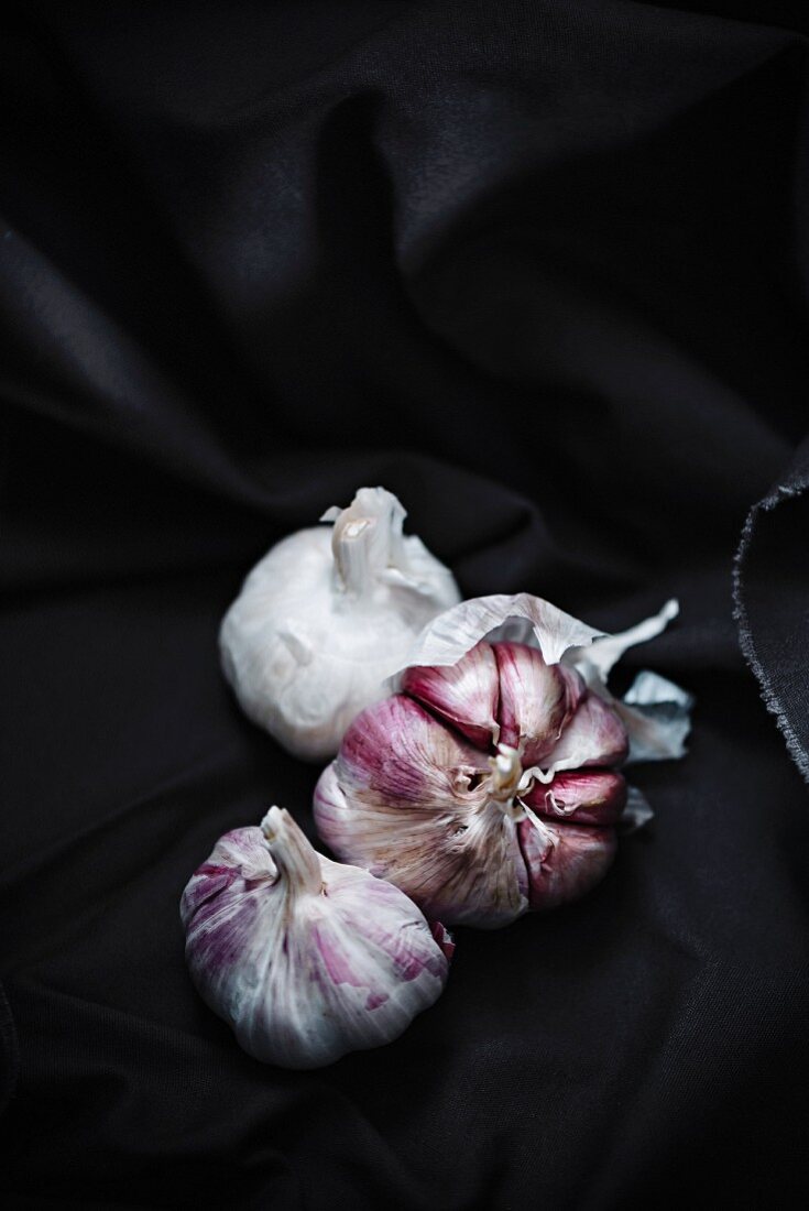 Garlic bulbs on a dark background