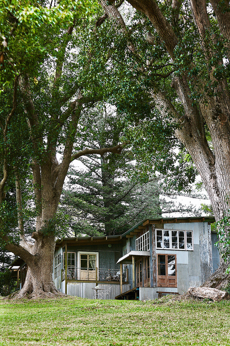 Ehemaliger Stall mit Wellblech-Fassade im Garten mit alten Bäumen