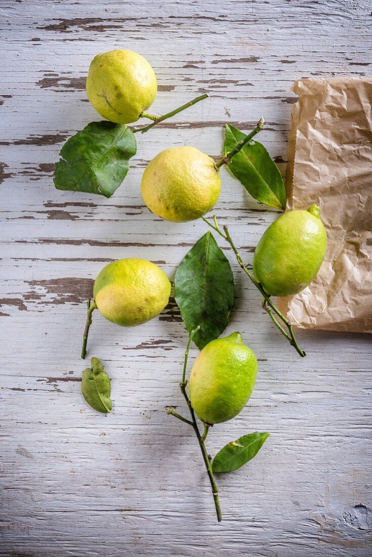Zitronen mit Zweig und Blättern