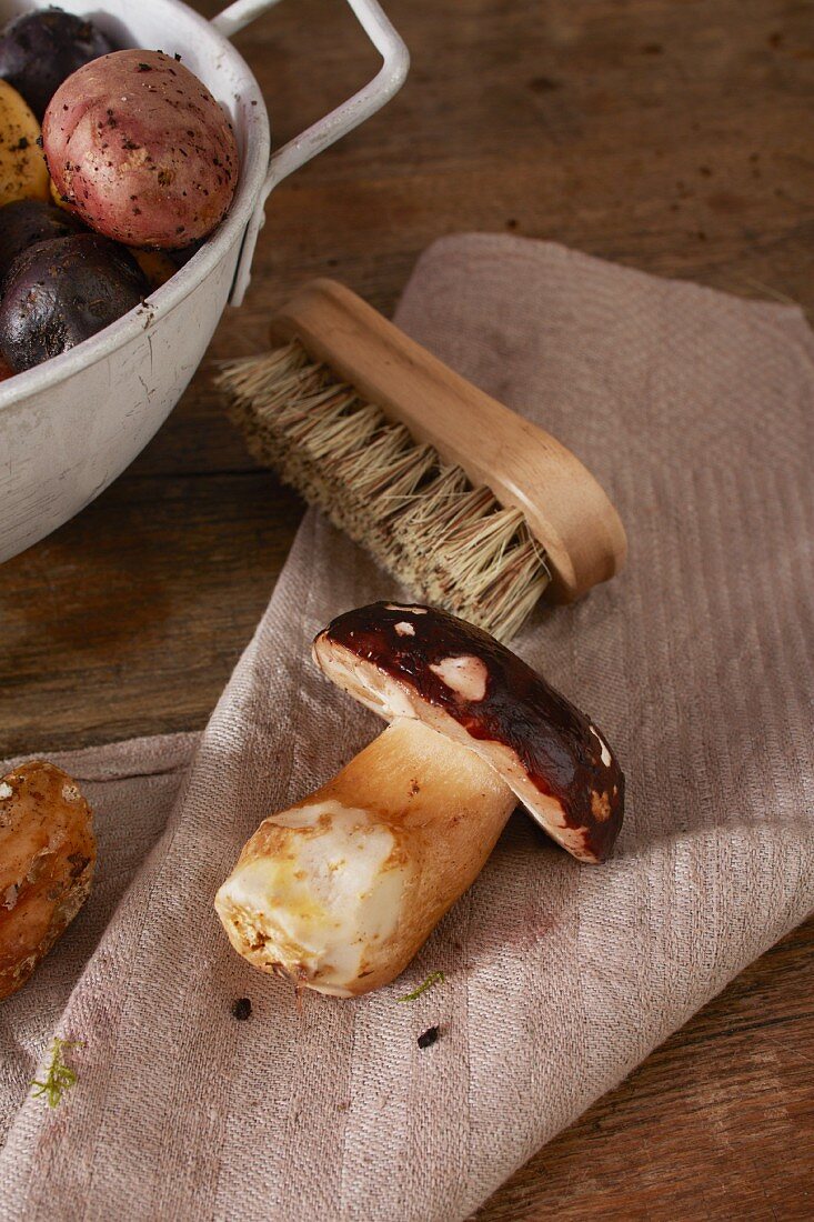 A fresh porcini mushroom with a brush