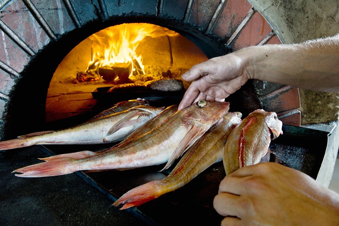 Fresh gurnards in front of a lit wood-burning oven