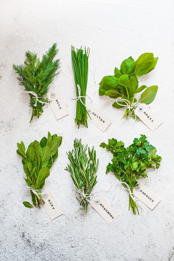 Various herbs with tags