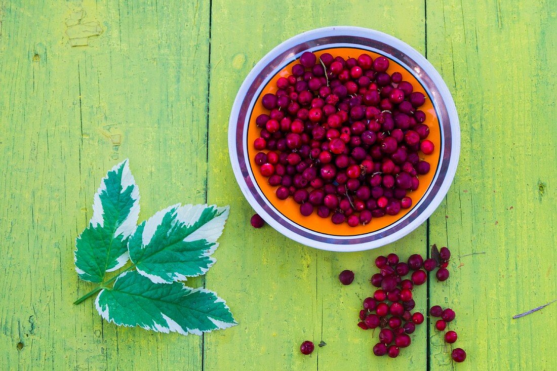 Teller mit Cranberries und Blätter auf Holztisch