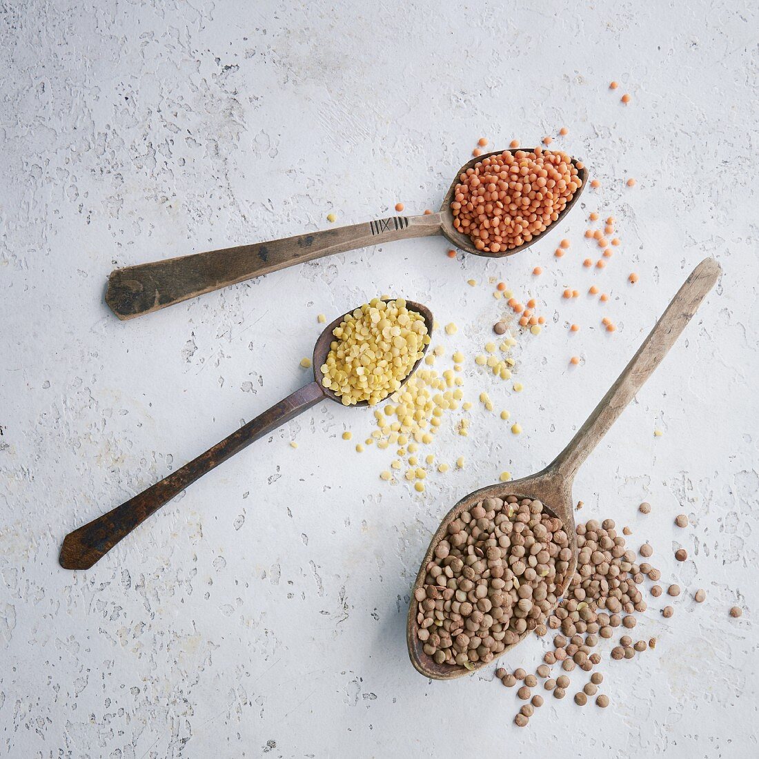 Different varieties of lentils