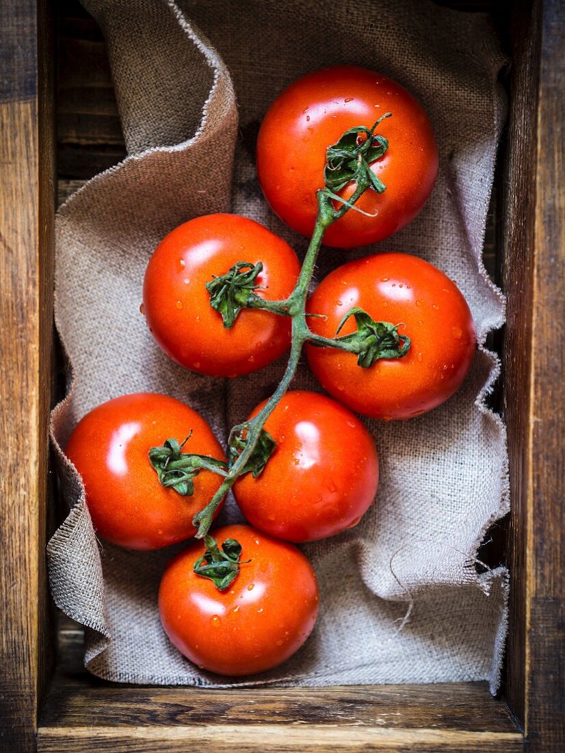 Fresh red tomatoes in a rustic wooden container