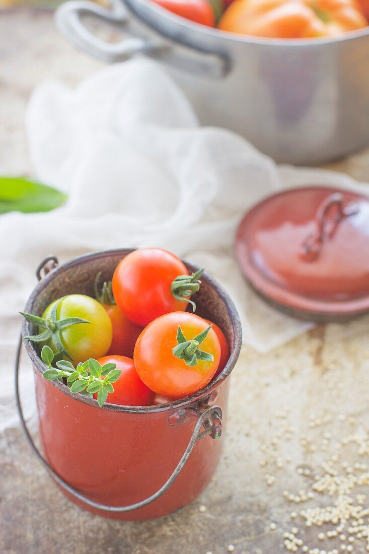 Frische Tomaten im Emaileimer