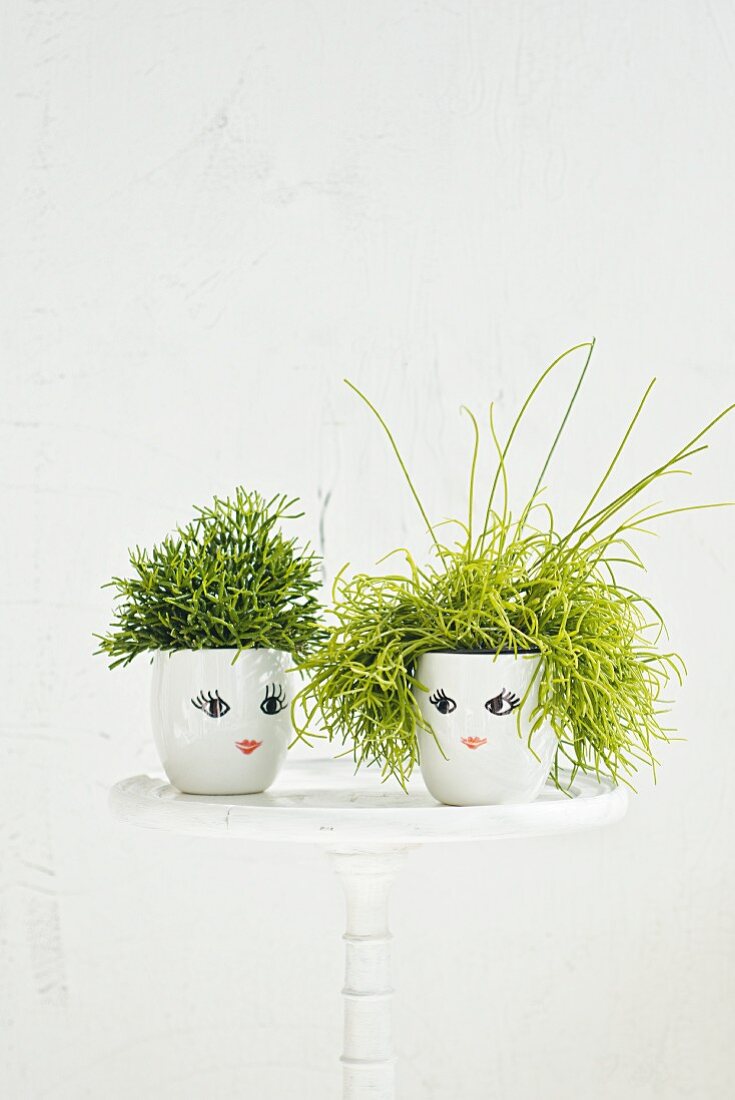 Foliage plants in white pots with painted faces