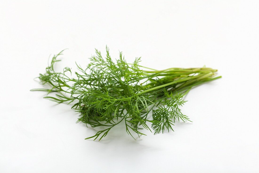 Fresh dill