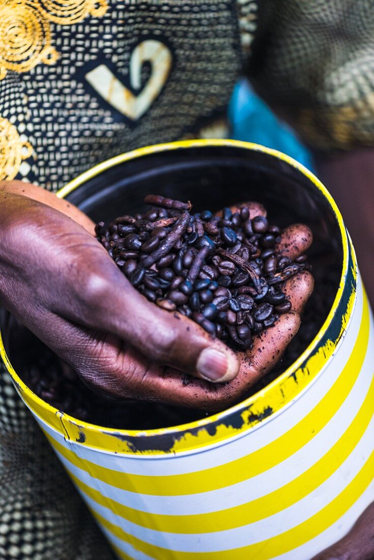 Kaffeebohnen aromatisiert mit Selim-Pfeffer für Touba (Kaffeespezialität, Senegal)