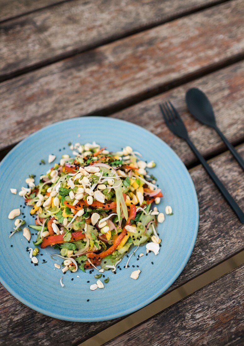 Asian mango and celery salad with bean sprouts and black sesame seeds