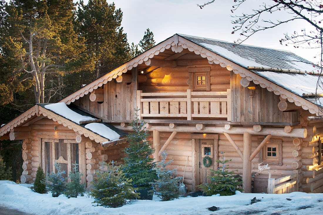 Fir trees outside illuminated log cabin