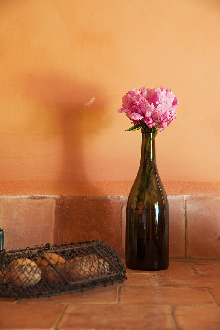 Peony in bottle on terracotta floor tiles