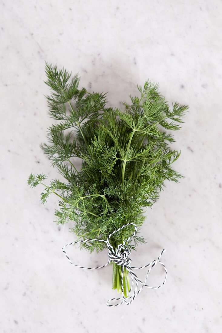 Fresh dill, tied with string, on a marble slab