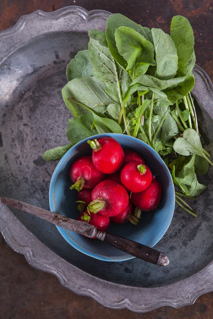 Radishes in a bowl with a knife (top view)