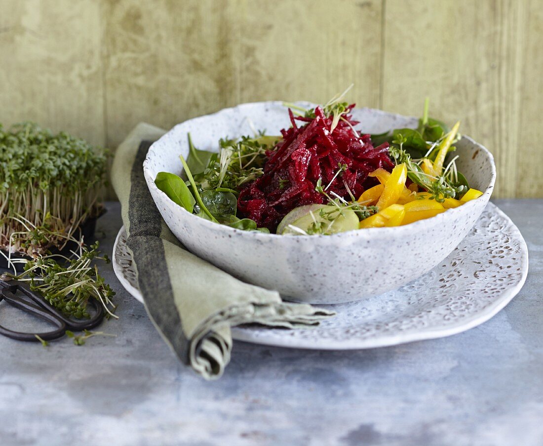 Vegetarian beetroot and spinach salad