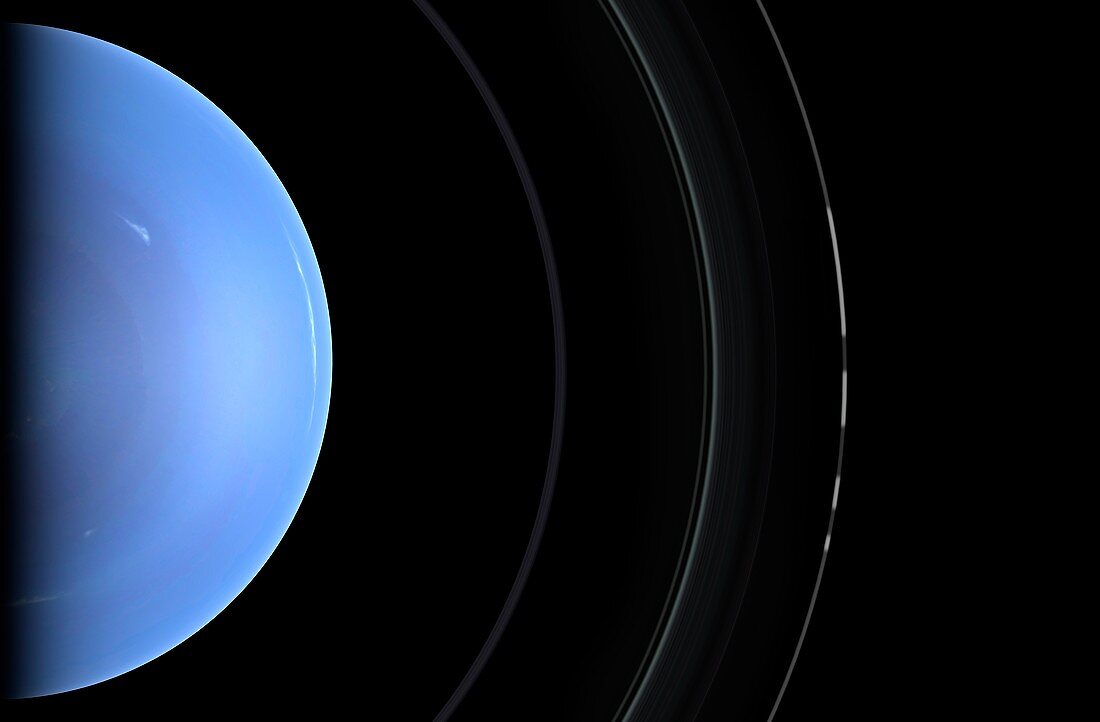 Structure of Neptune's Rings