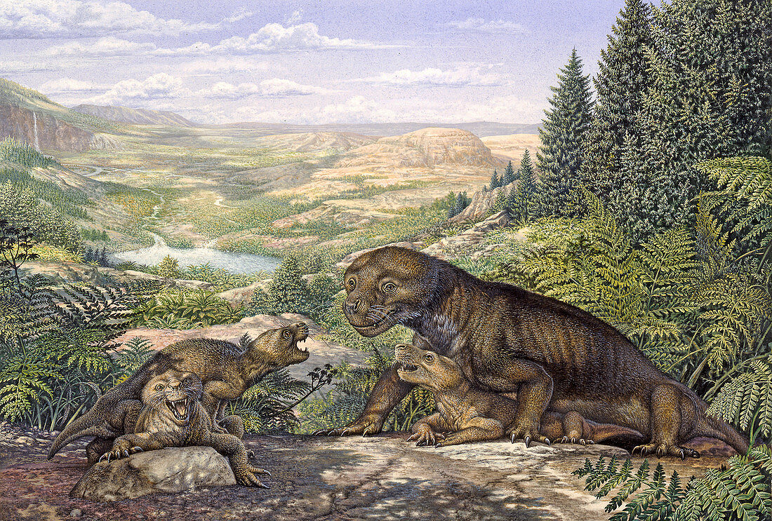 Thrinaxodon cynodont and pups, illustration
