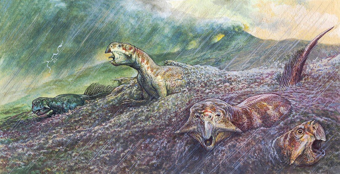 Psittacosaurus dinosaurs trapped in mudslide, illustration