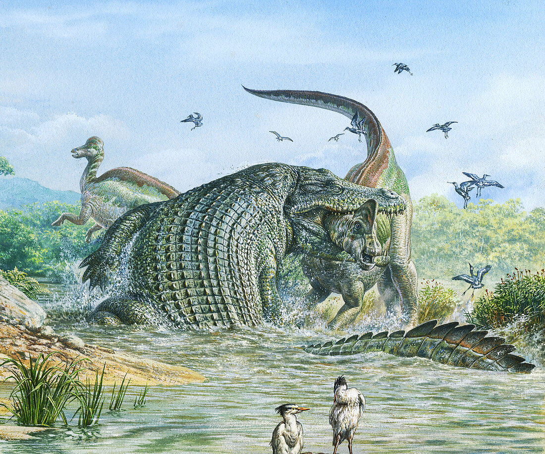 Deinosuchus reptile attacking a dinosaur, illustration