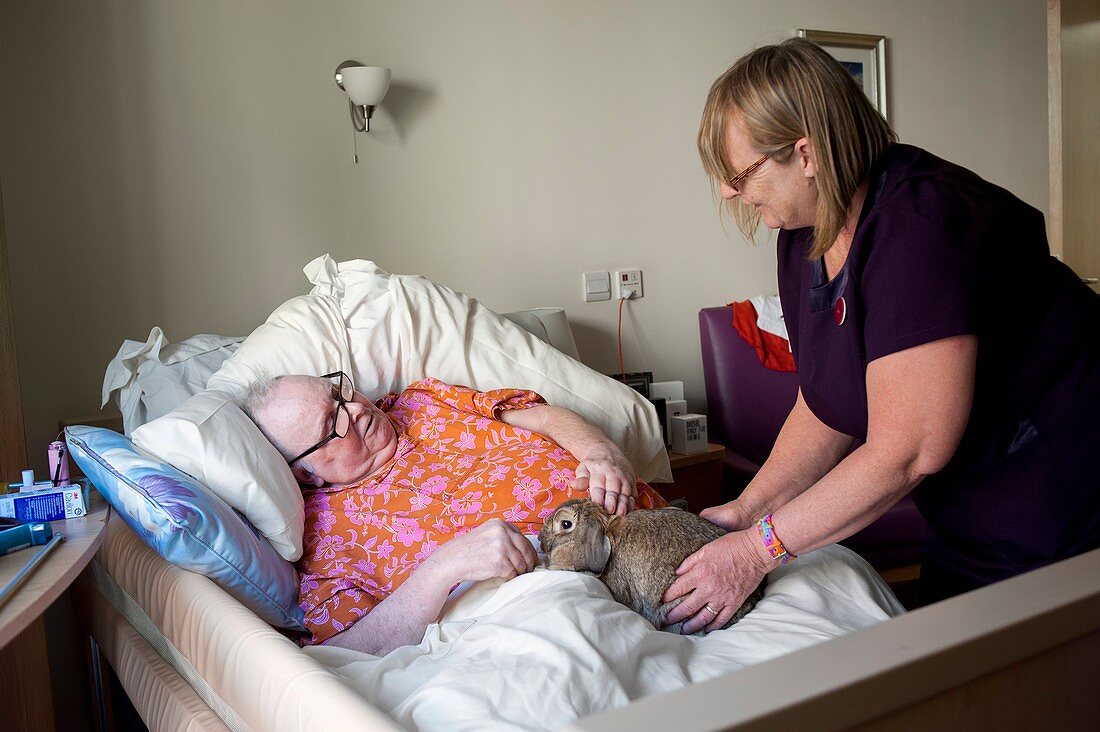 Care home animal therapy