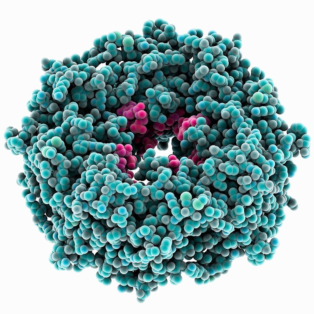 Ebola virus matrix protein RNA complex
