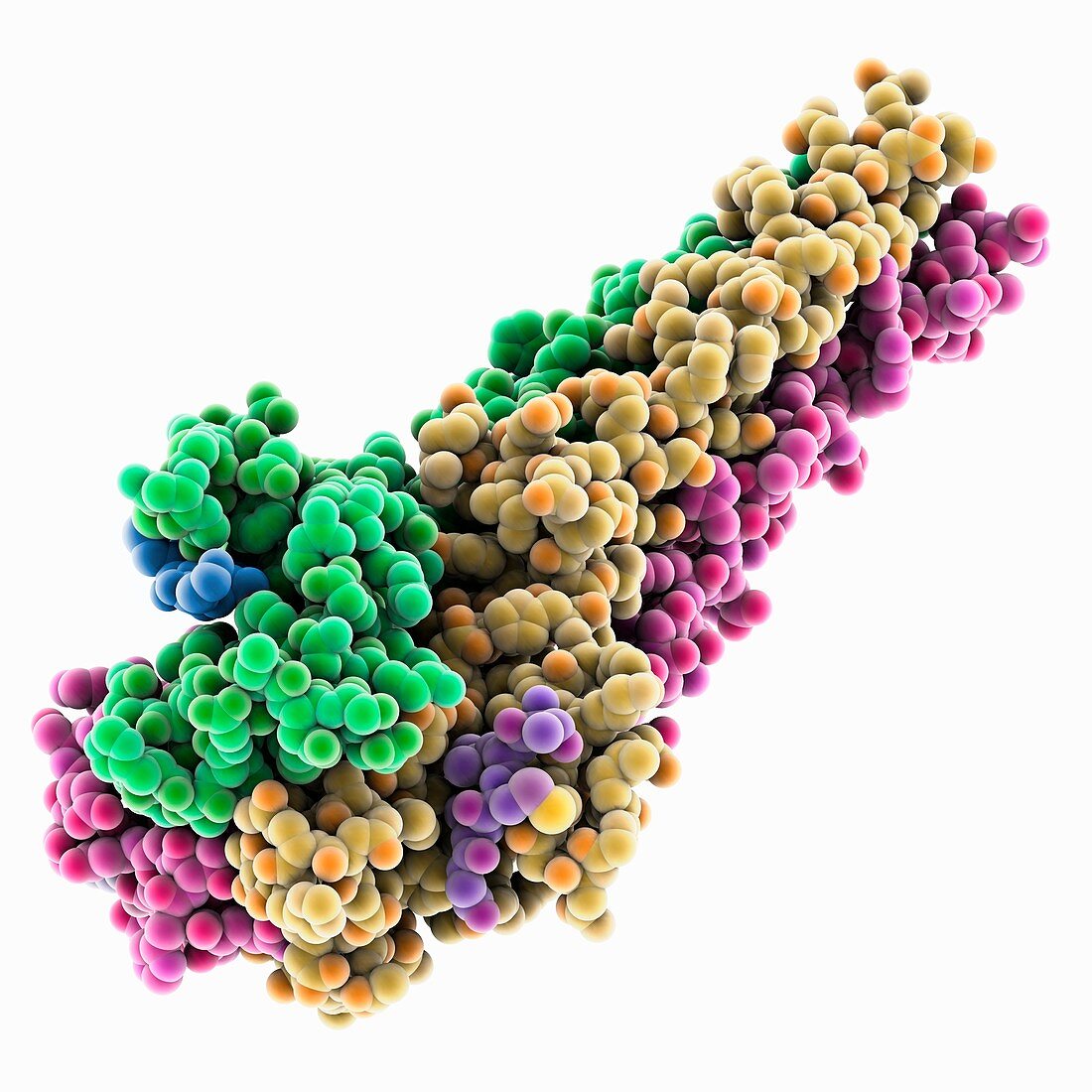 Influenza hemaglutinin complex