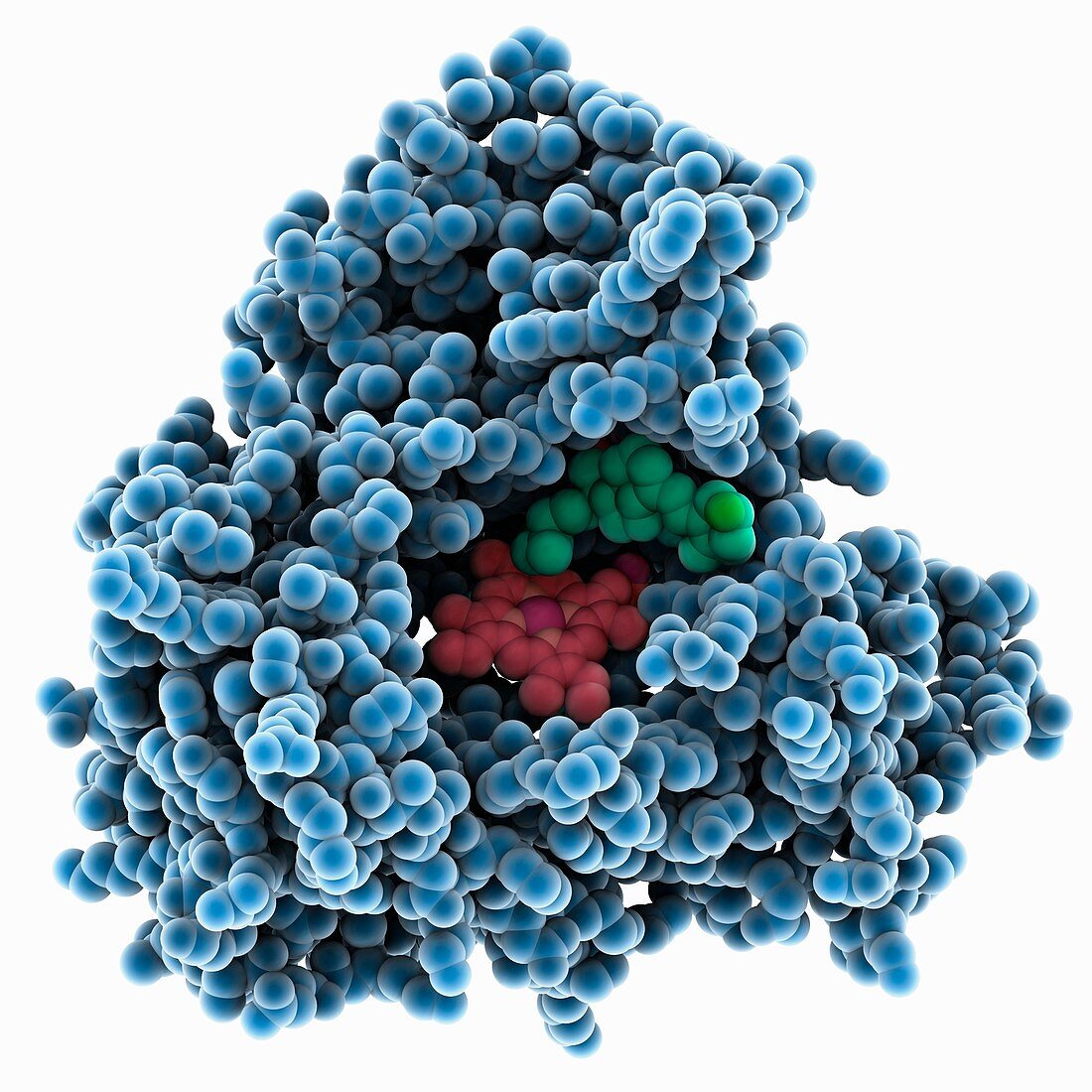 CYPR2R1 complexed with vitamin D3