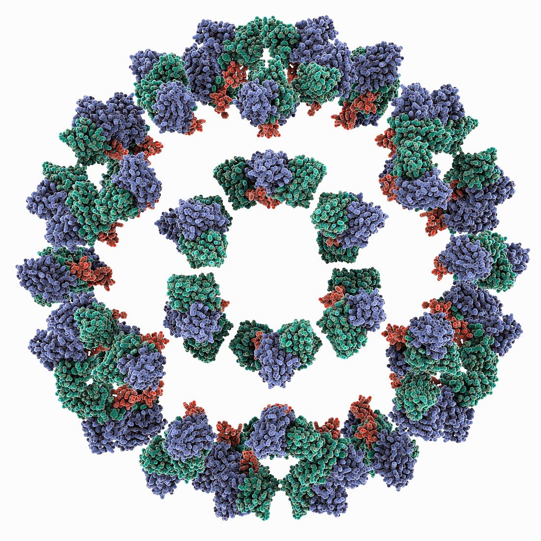 Human enterovirus virion complex
