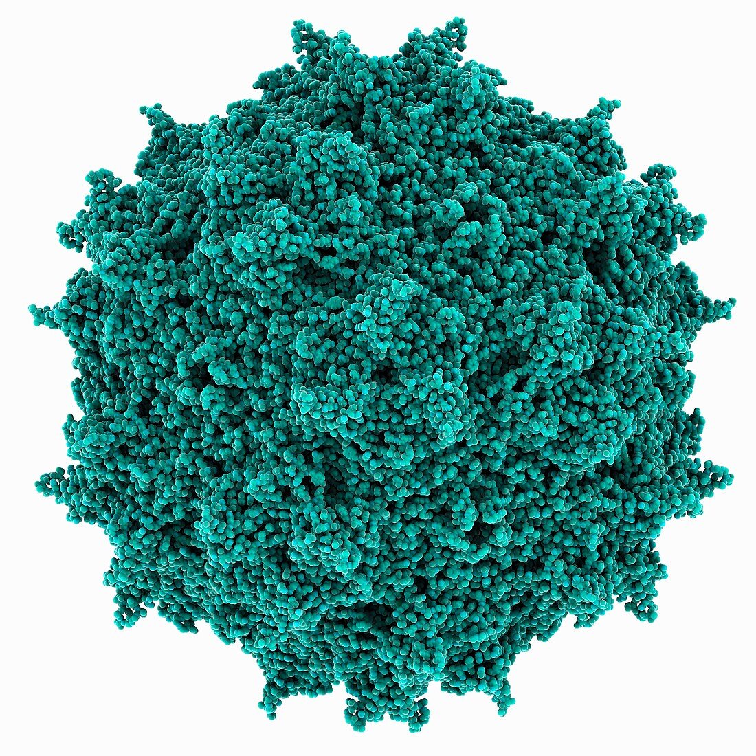 Adeno-associated virus capsid molecule