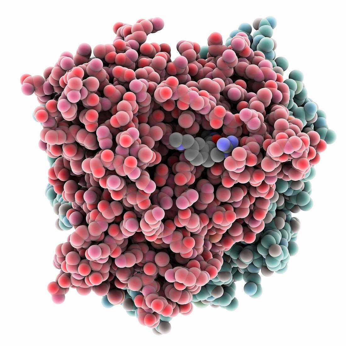 HIV-1 GP120 complex with JP-III-048