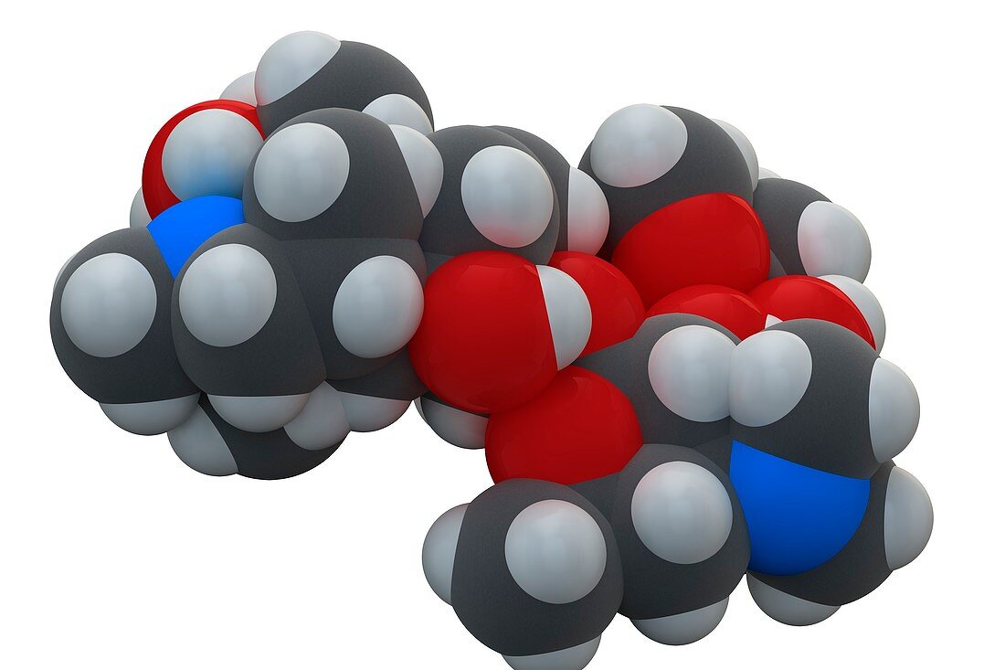 Azithromycin antibiotic drug molecule