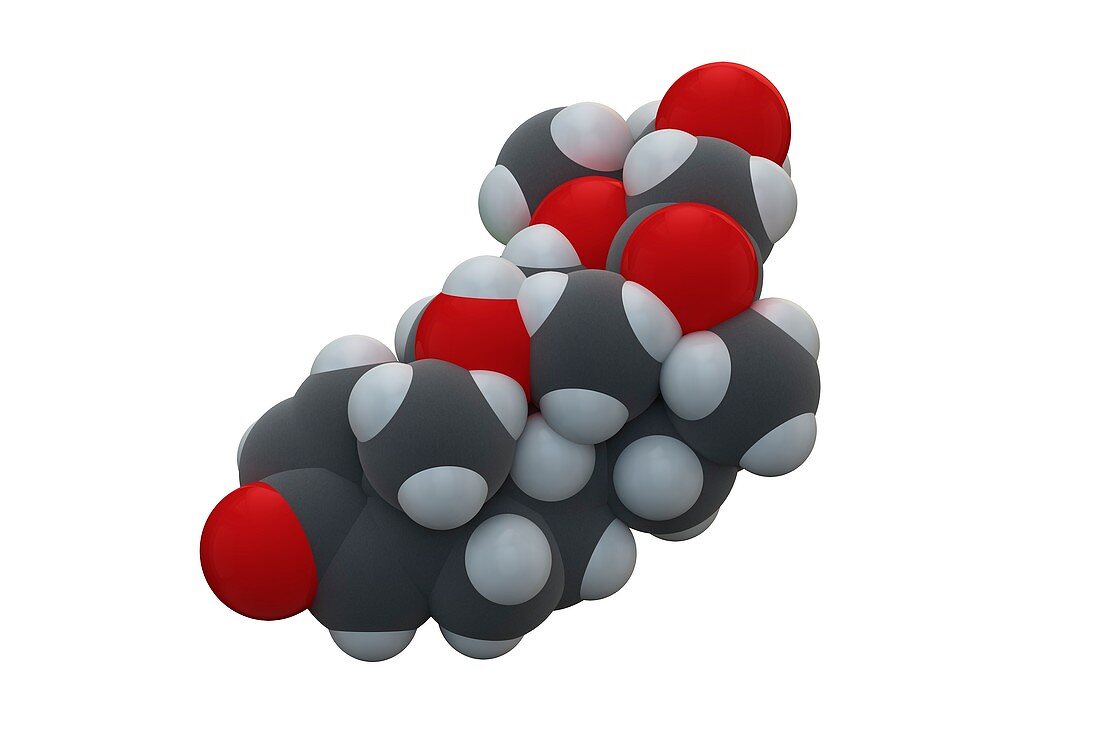 Beclometasone dipropionate drug molecule