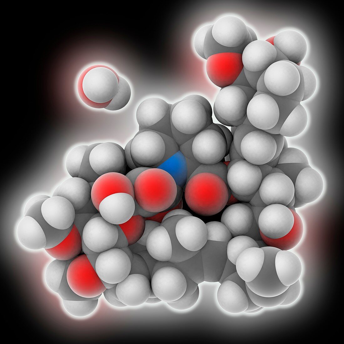Tacrolimus hydrate drug molecule