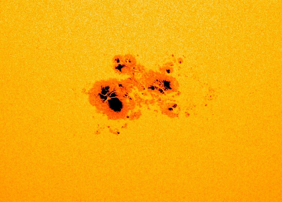 Sunspot AR2192, SDO image