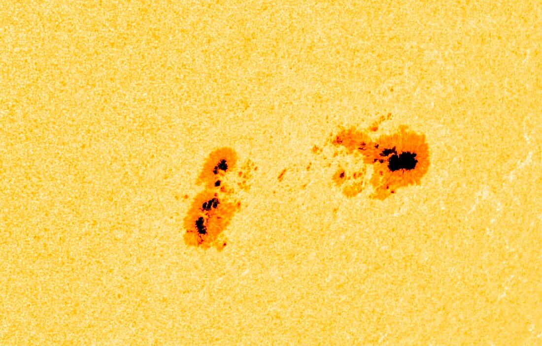Large sunspot group, SDO image