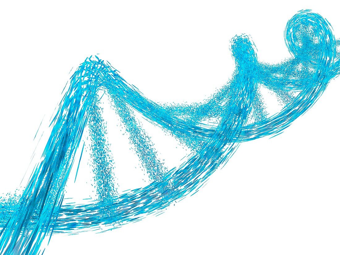 DNA dissolving, artwork