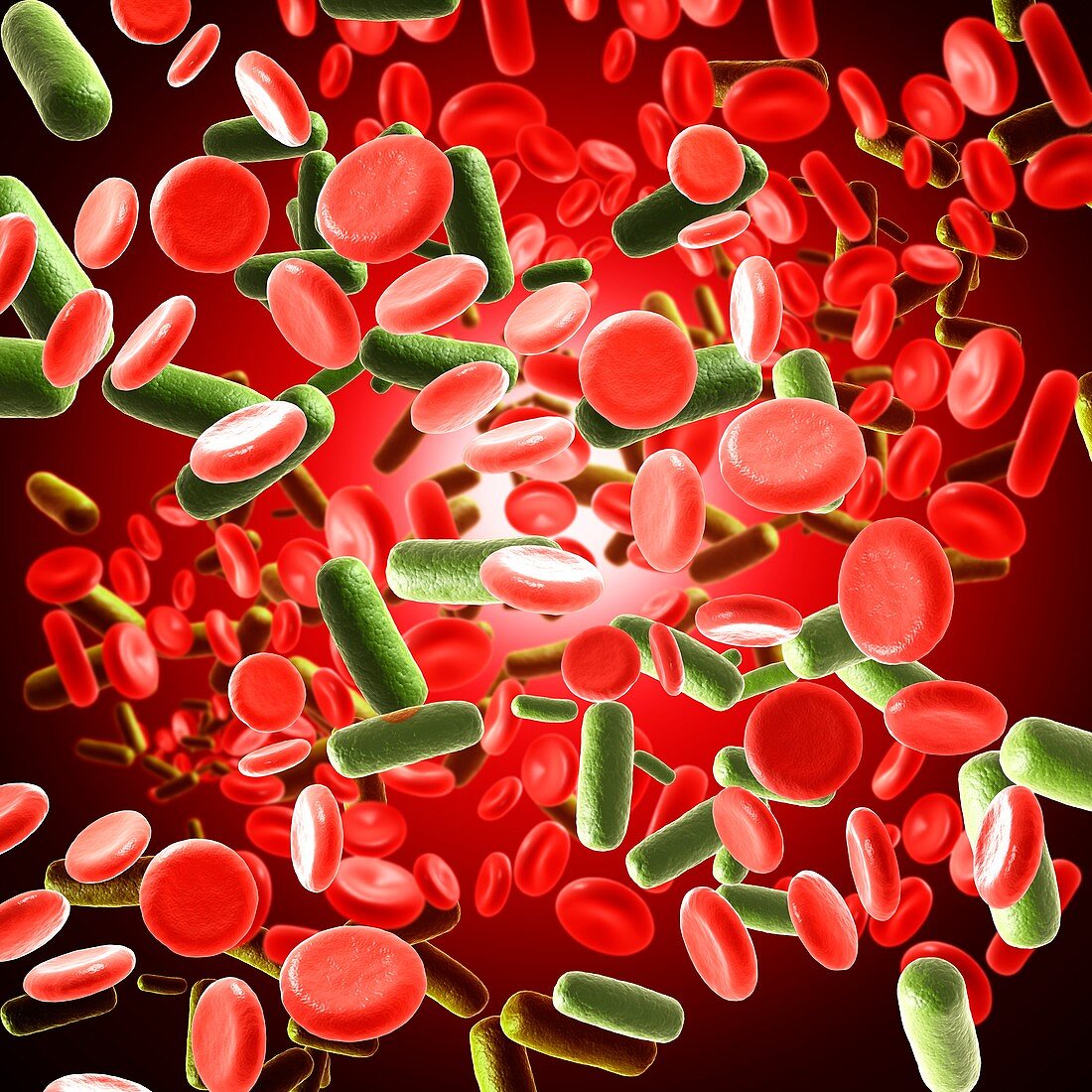 Bacterial blood infection, illustration