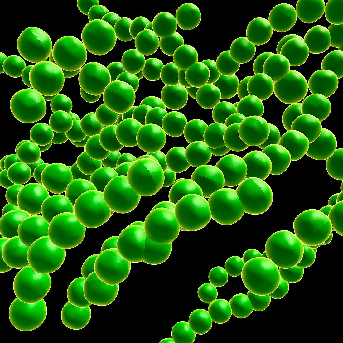 Drug-resistant Streptococcus bacteria, illustration