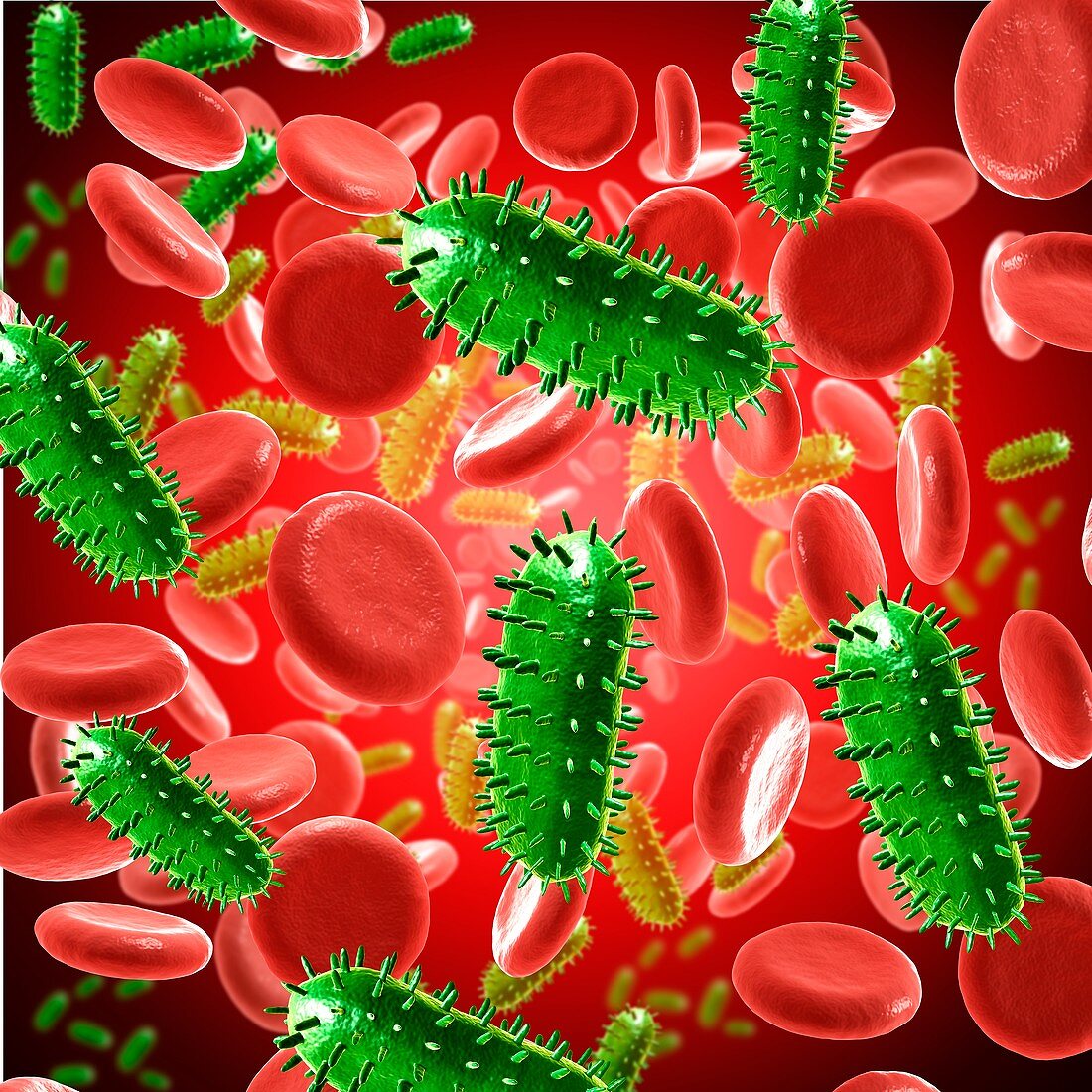 Rabies virus in the blood, illustration