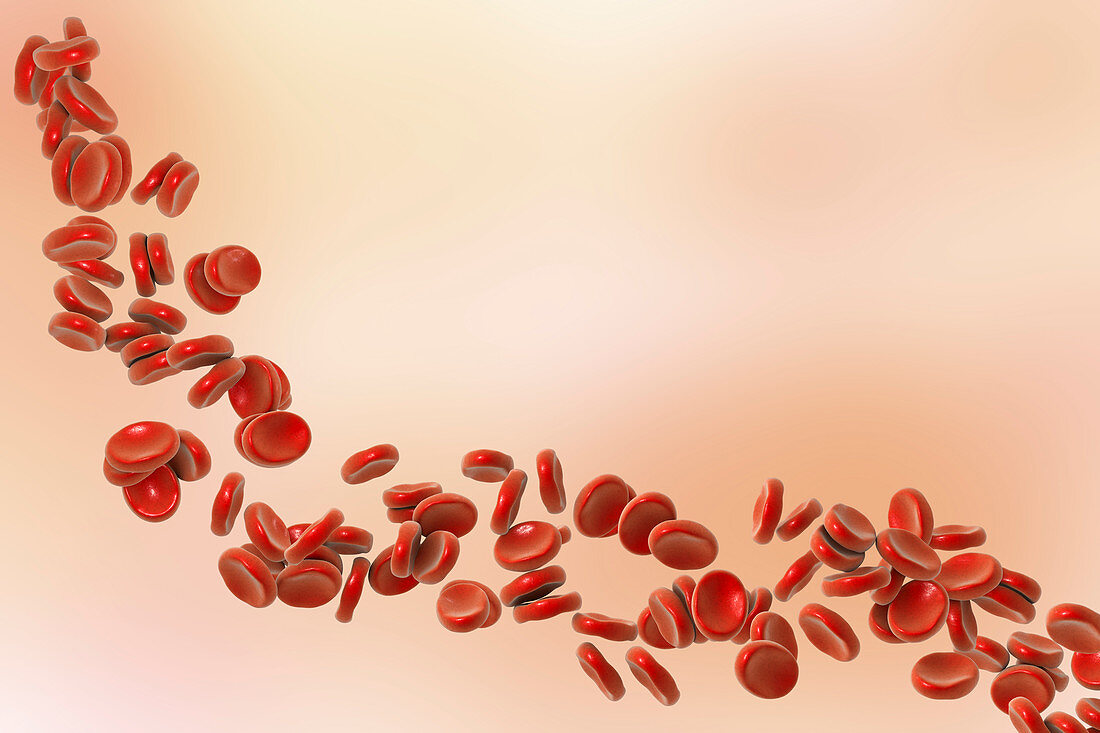 Red blood cells, illustration