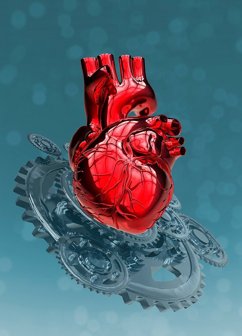 Human heart with metal cogs