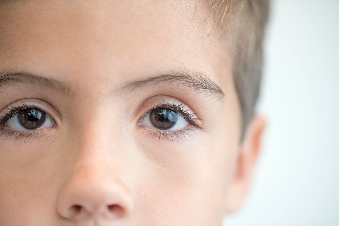 Boy with brown eyes, close up portrait