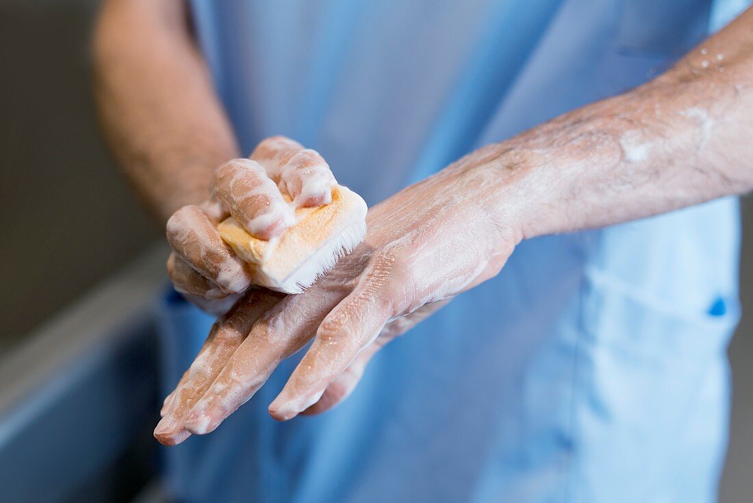 Doctor scrubbing hands with brush